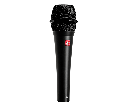 V7 Black