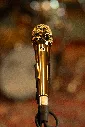 SEEV7GOLD_4.webp