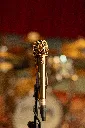 SEEV7GOLD_3.webp