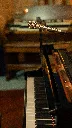 V7 Nickel 4.webp
