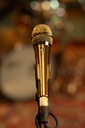 V7 Gold 5