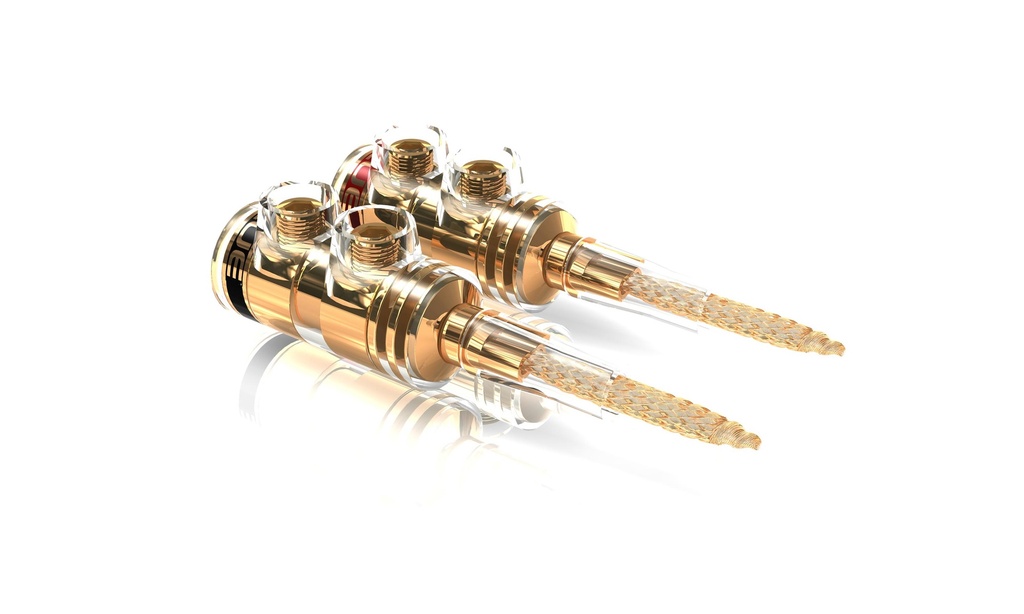 TS * FLEXIBLE PINS * 2 pairs