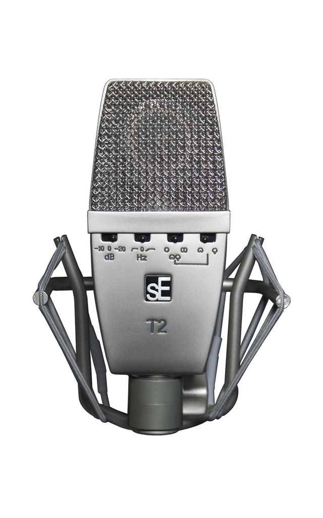 T2 Stereo Pair