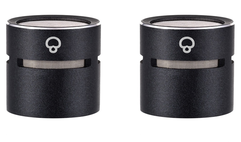 sE8 Supercardioid Capsule Pair